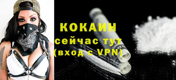 гидра Костерёво