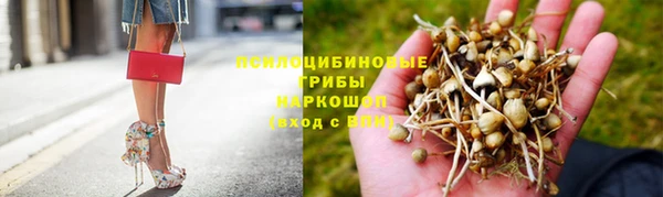 экстази Корсаков