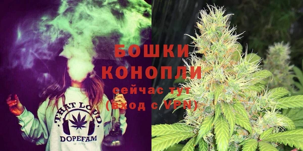 гидра Костерёво