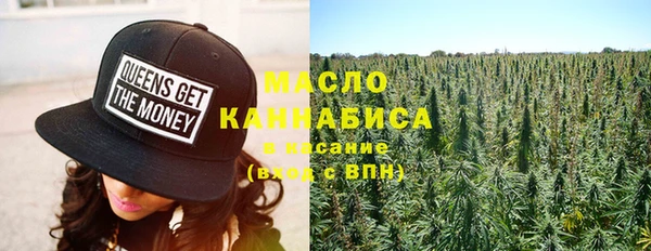 гидра Костерёво