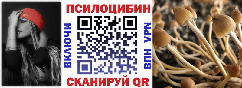 Галлюциногенные грибы Psilocybe хочу наркоту Сычёвка